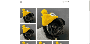 Rede Social dogs gif